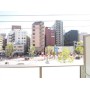 景色